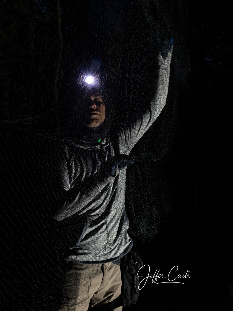 Jefferson Sánchez Castrillón revisando una red de niebla
