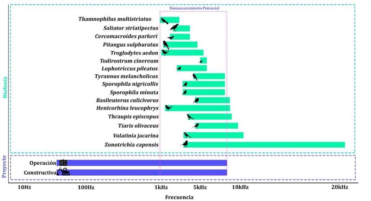 Enmascaramiento acústico entre biofonía y ruido del proyecto